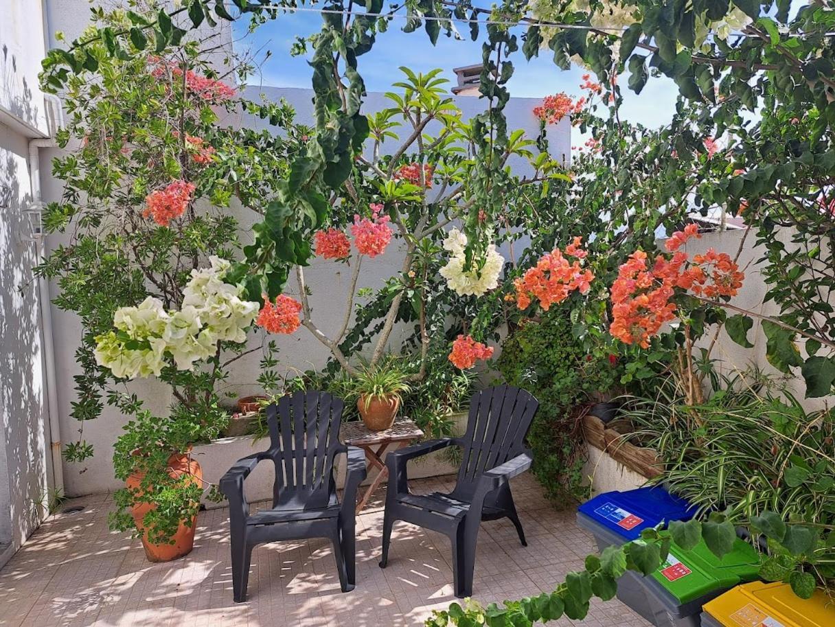 Friends'House - Azores 拉戈阿 外观 照片